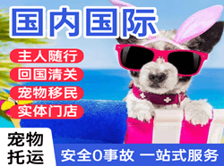 尧都空运公司国际宠物托运 【国